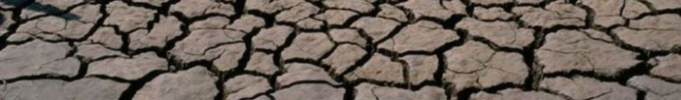 Impacts and Adaptation