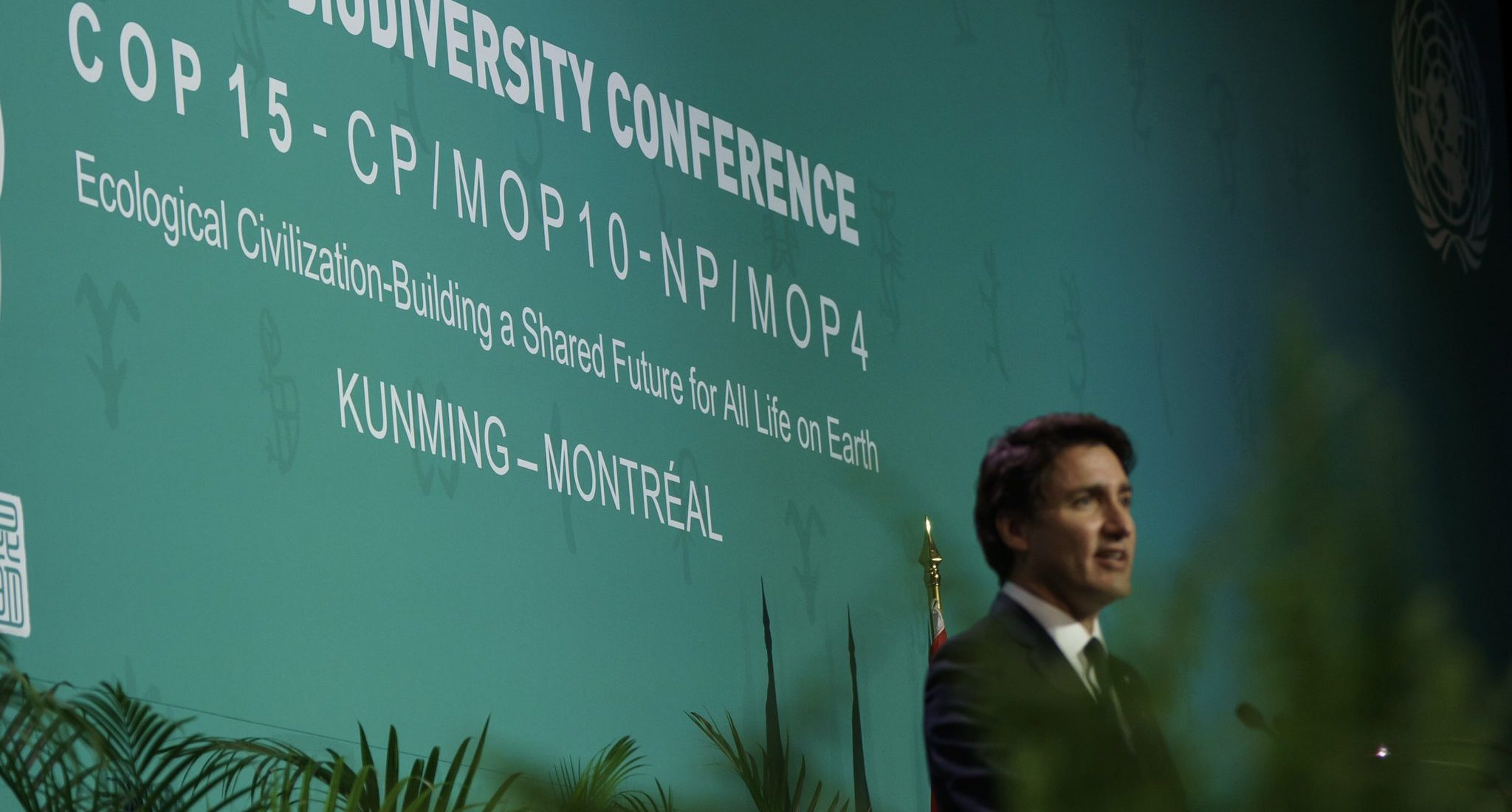 As COP15 opens, Canada pledges down payment for international finance ...